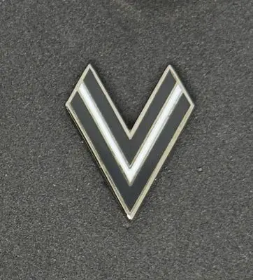 ASK Voitsberg (Austria)