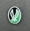 SV Ried (Austria)