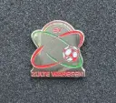 SV Zulte Waregem (Belgium) 