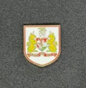 Bristol City FC (England)