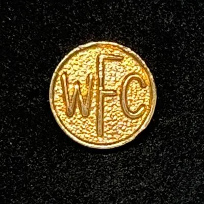 Watford FC (England) Pin Needle