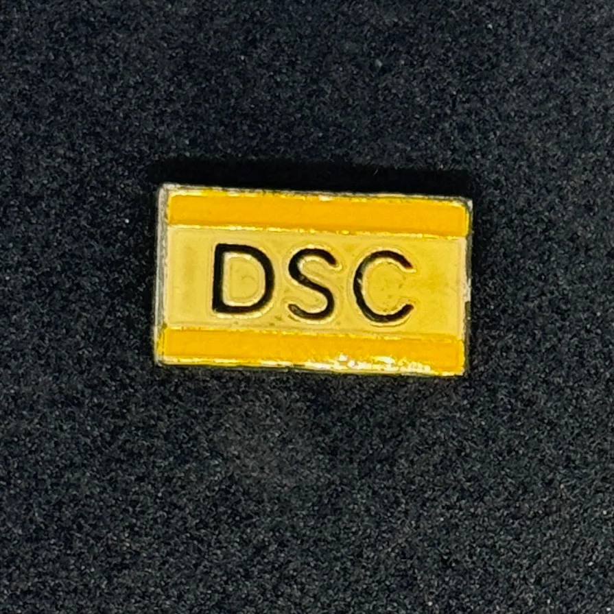 DSC Wanne-Eickel (Germany) Pin Needle