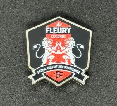 FC Fleury 91 (France)(France)