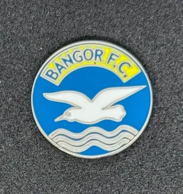 Bangor FC (Northern Ireland)