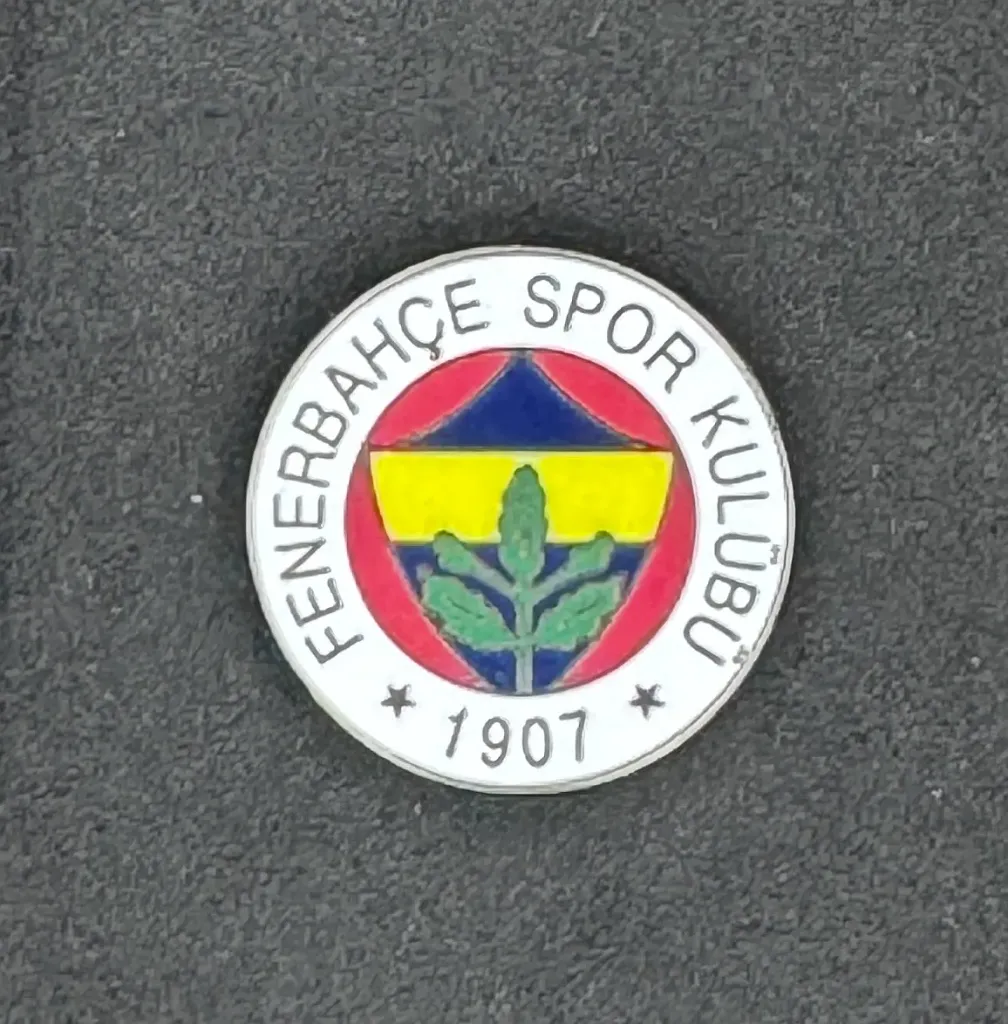 Fenerbahce SK (Türkiye)