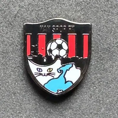 Vanspor FK (Türkiye)