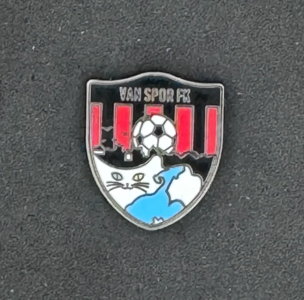 Vanspor FK (Türkiye)