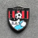 Vanspor FK (Türkiye)