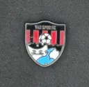 Vanspor FK (Türkiye)