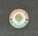 Institute FC (Northern Ireland)