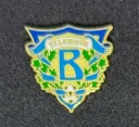 FK Volga Uljanovsk (Russia)