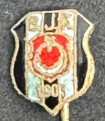 Besiktas (13) (Türkiye) Pin Needle