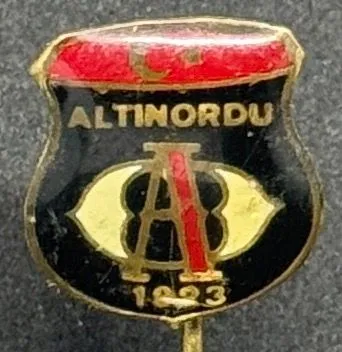Altinordu (1) (Türkiye) Pin Needle