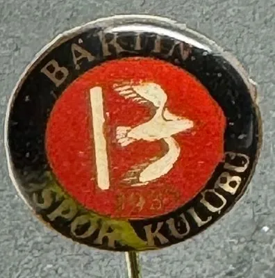 Bartin SK (Türkiye) Pin Needle