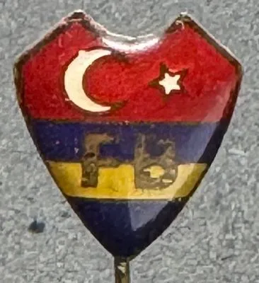Fenerbahce SK FB3 (Türkiye) Pin Needle