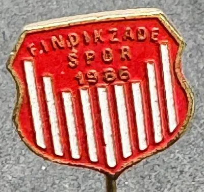 Findikzade Spor (Türkiye) Pin Needle