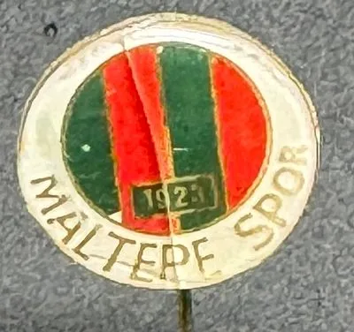 Istanbul Maltepespor (Türkiye) Pin Needle