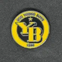 BSC Young Boys (Switzerland)