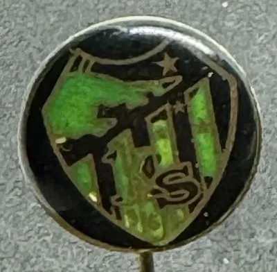 Kocaelispor K (Türkiye) Pin Needle
