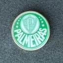 SE Palmeiras (Brazil)