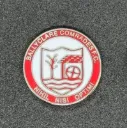 Ballyclare Comrades (Northern Ireland)
