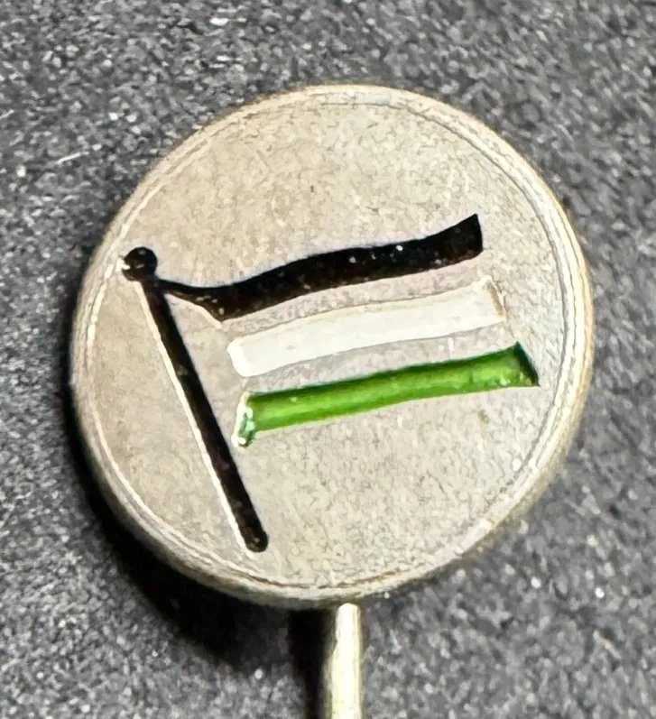 Hannover 96 (Germany) Pin Needle  
