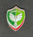 Amed SK (Türkiye) 
