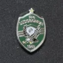 PFC Ludgorets Razgrad (Bulgaria)