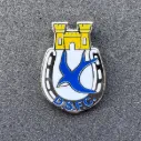 Dungannon Swifts FC (Northern Ireland)