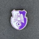 FC Arges Pitesti (Romania)