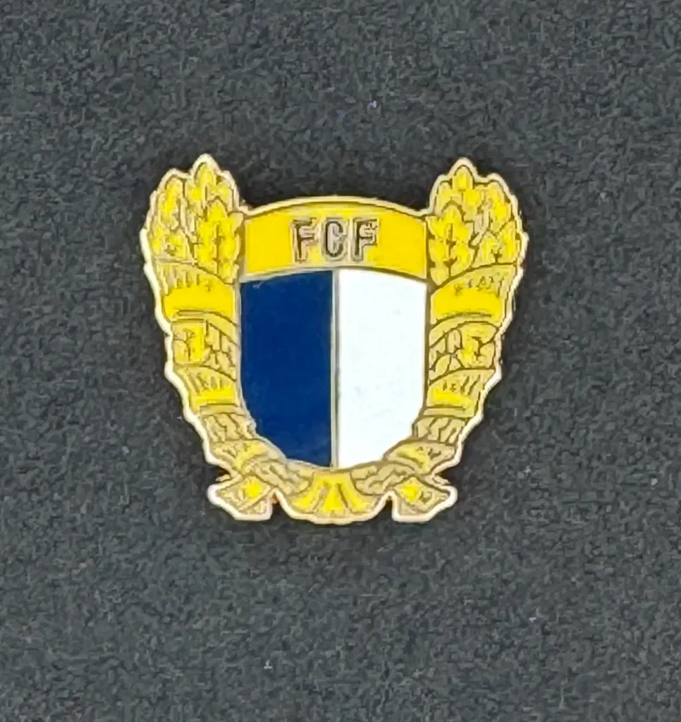 FC Familicao (Portugal)