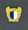 FC Familicao (Portugal)