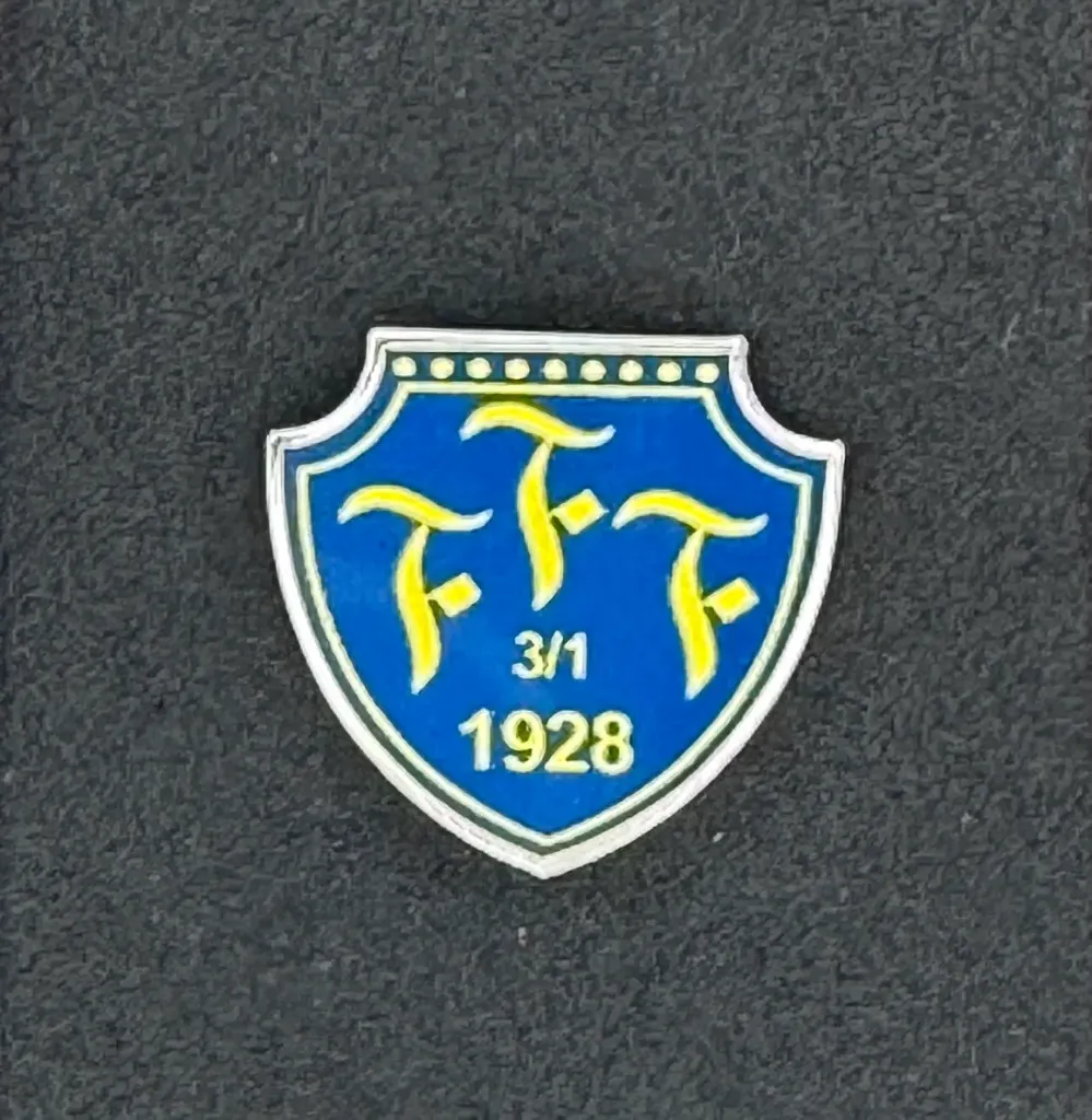 Falkenbergs FF (Sweden)