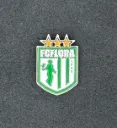 Tallinna FC Flora (Estonia) Official Pin Badge